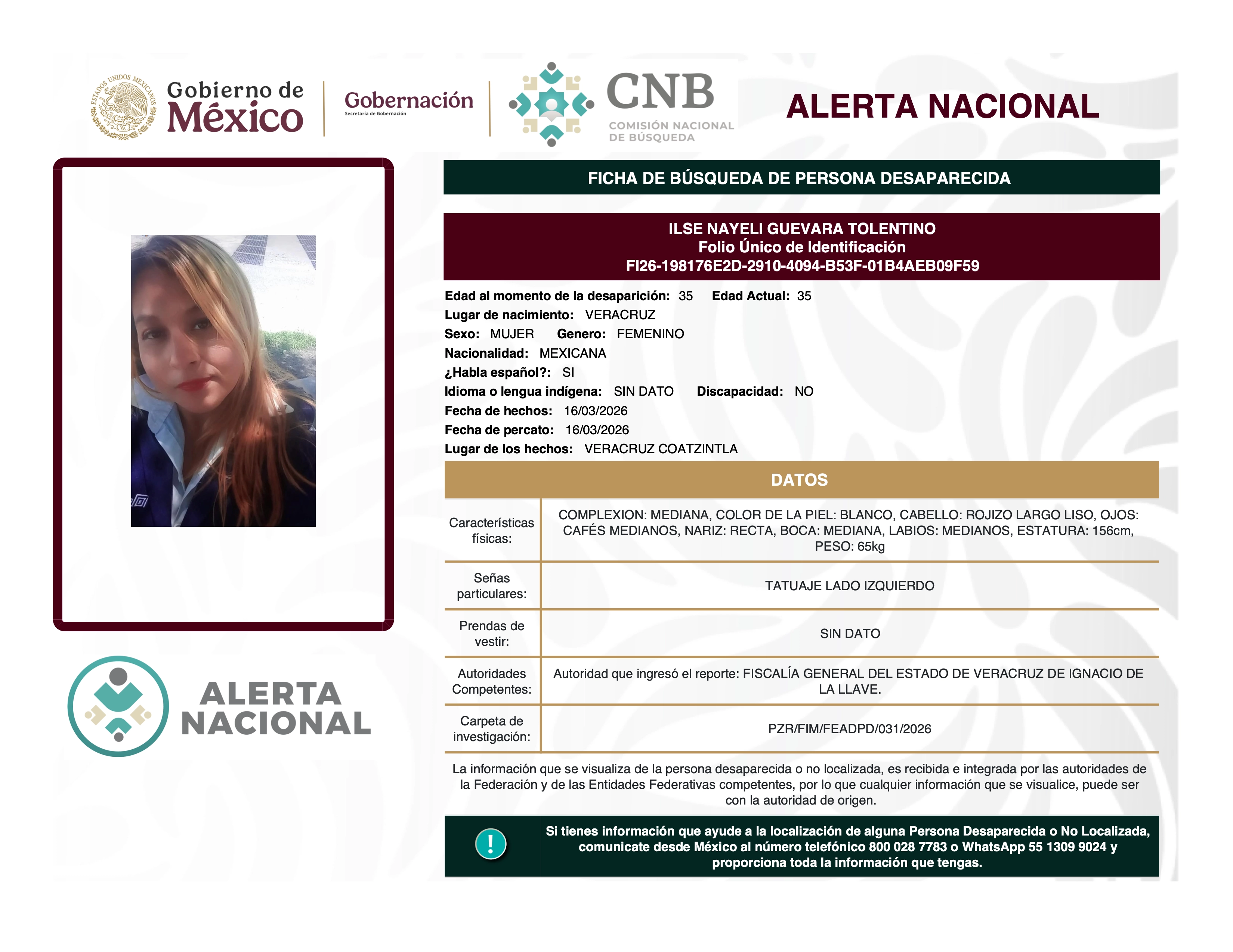 ILSE NAYELI GUEVARA TOLENTINO